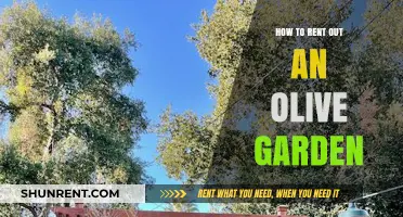 Renting Out Olive Garden: A Step-by-Step Guide for Success