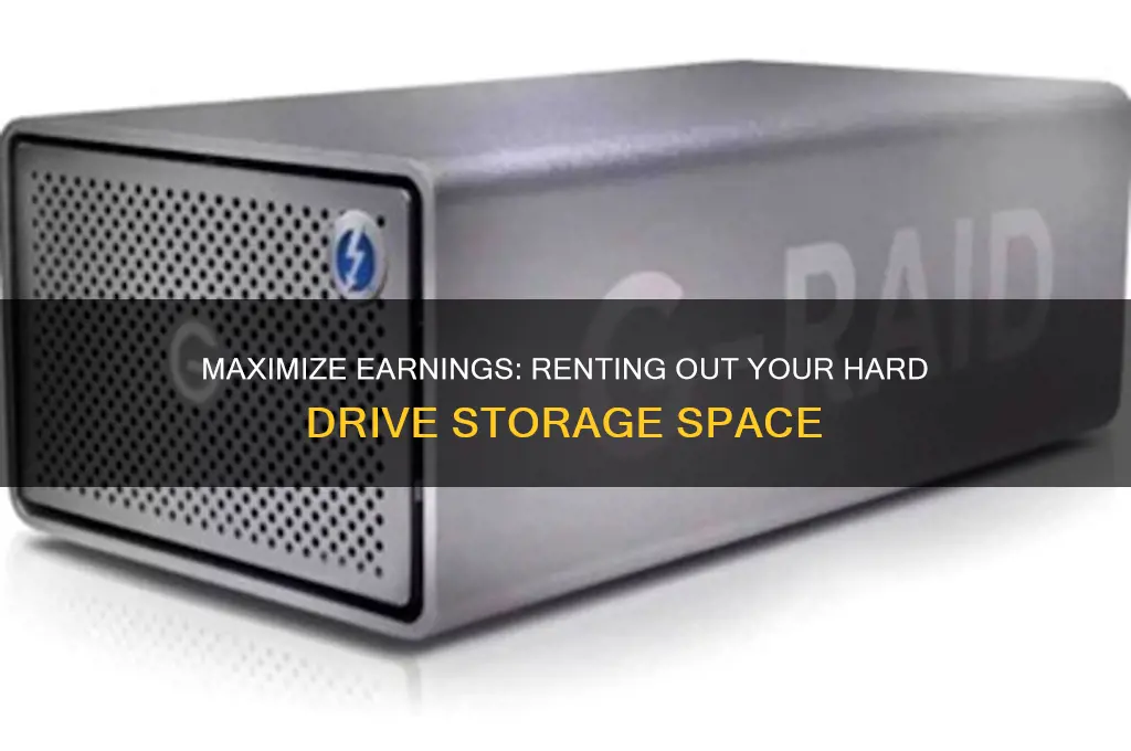 how to rent out hard drive storage space