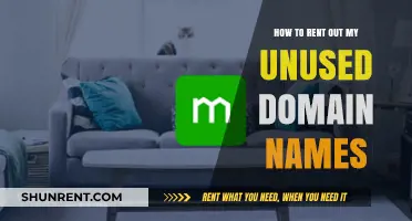 Maximize Your Domain Portfolio: Strategies to Rent Out Unused Domains