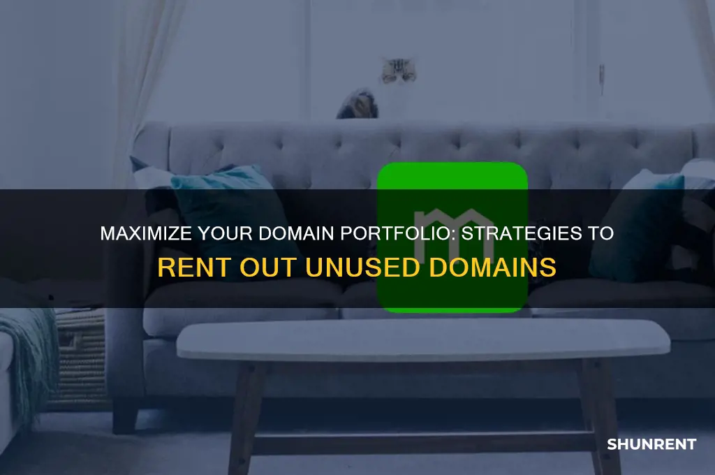 how to rent out my unused domain names