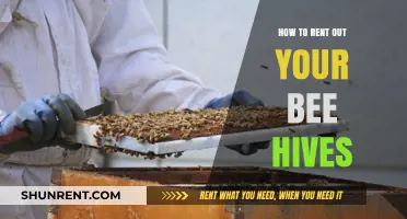 Renting Bee Hives: A Sweet Guide to Sharing Your Buzzing Business