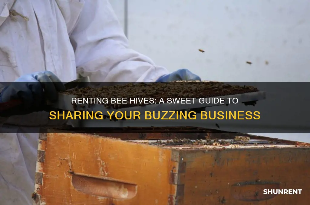 how to rent out your bee hives