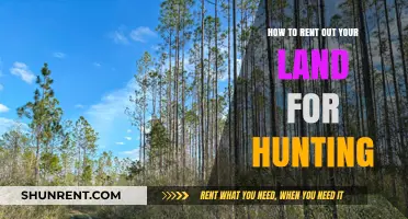 Maximize Your Land's Potential: A Guide to Renting for Hunting