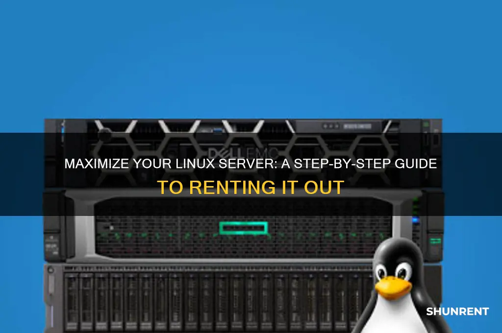 how to rent out your linux server