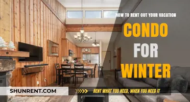 Maximize Winter Income: Tips for Renting Your Vacation Condo