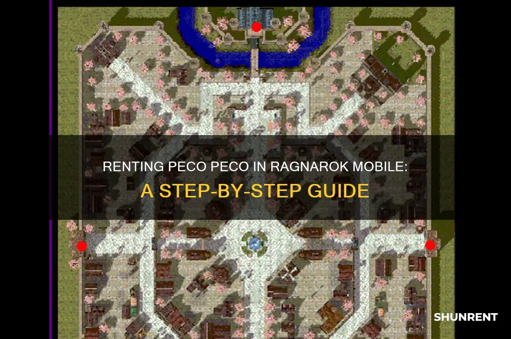 how to rent peco peco ragmarok mobile