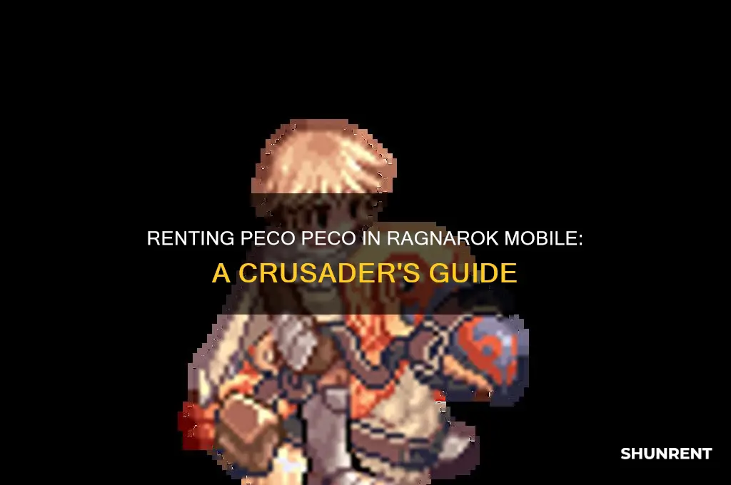 how to rent peco peco ragnarok mobile crusader