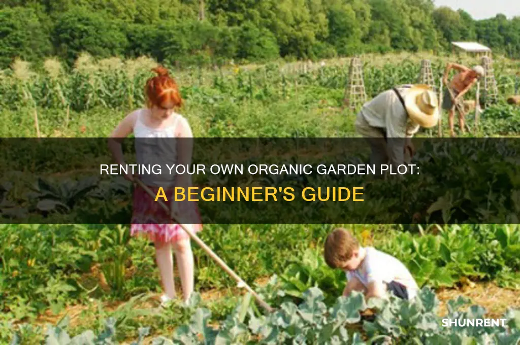 how to rent plot uf organic garden
