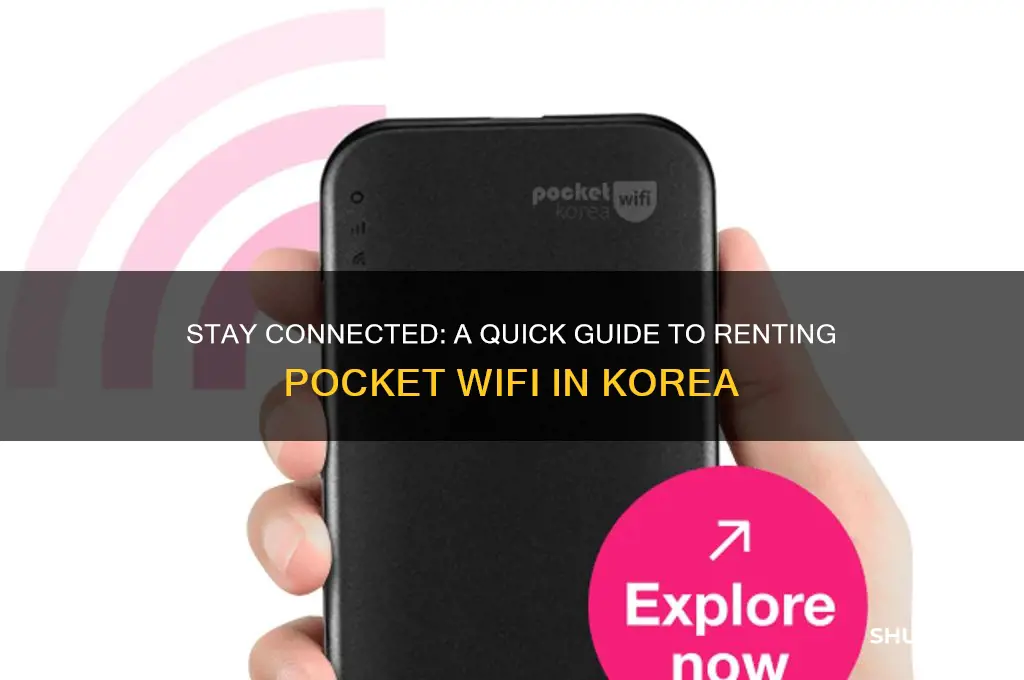 how to rent pocket wifi in korea