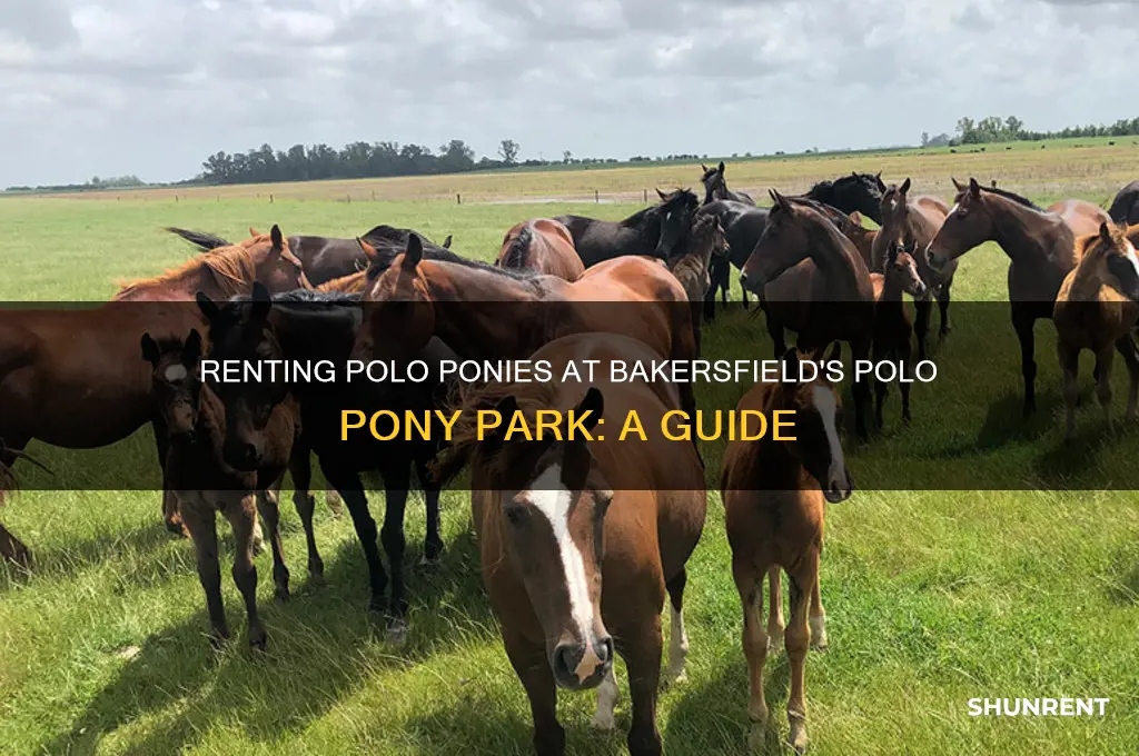 how to rent polo pony park bakersfield ca