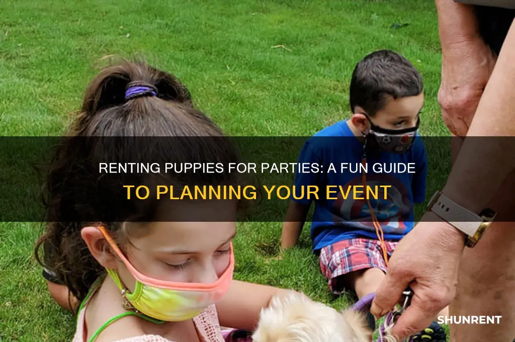 how to rent puppies for a party