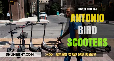 Renting Bird Scooters in San Antonio: A Quick Guide