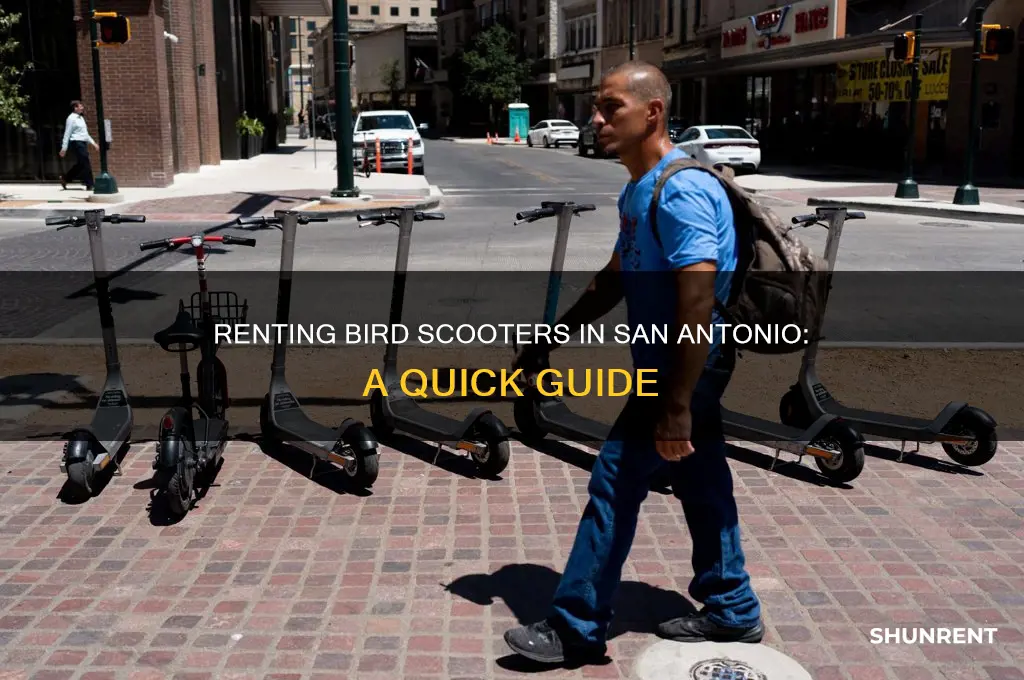 how to rent san antonio bird scooters