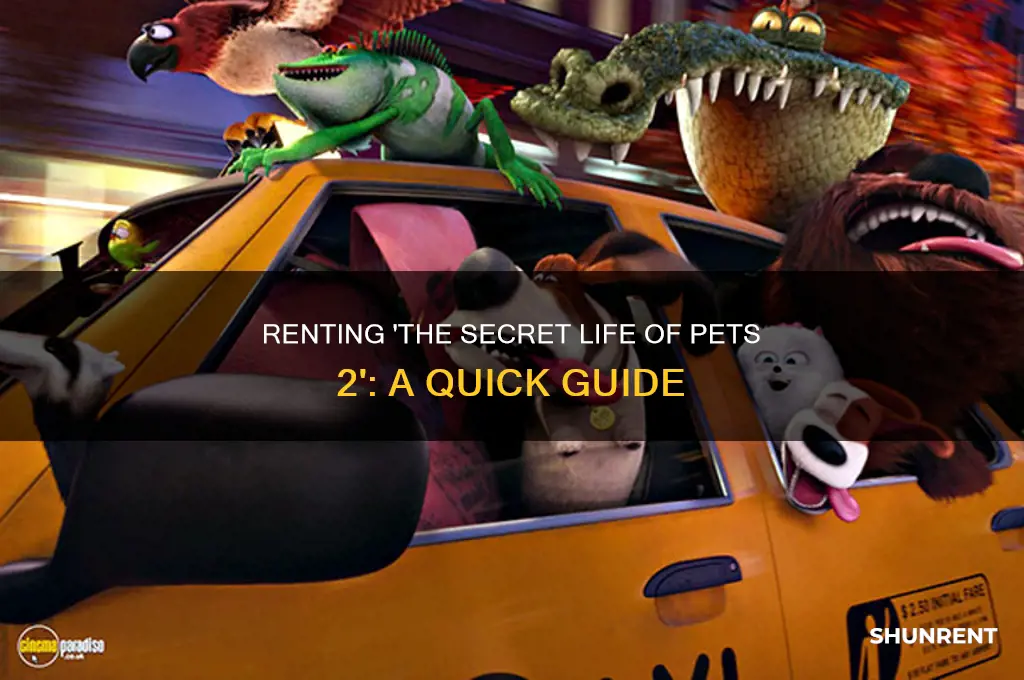 how to rent secret life of pets 2