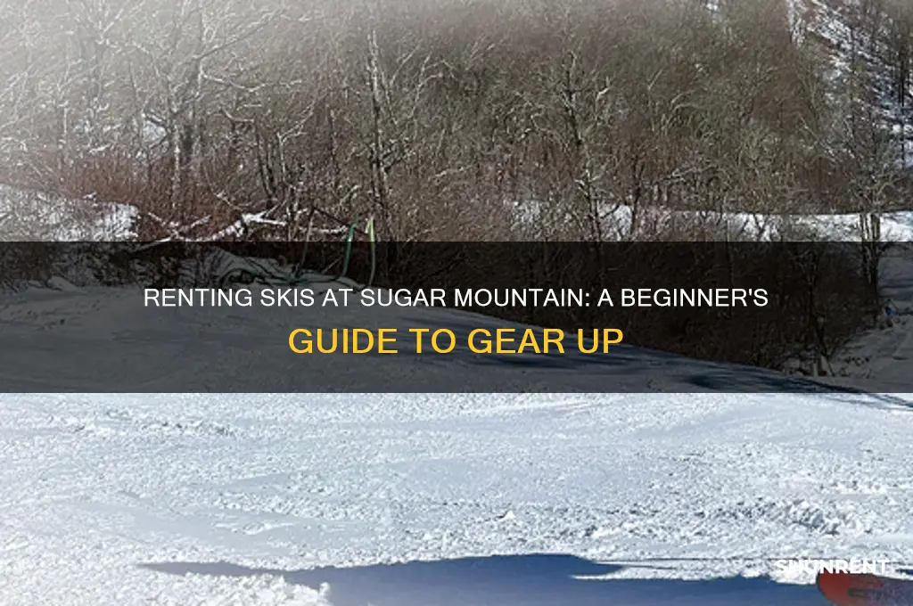 how to rent skis in sugar mountain