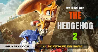 Renting Sonic the Hedgehog 2: A Quick and Easy Guide