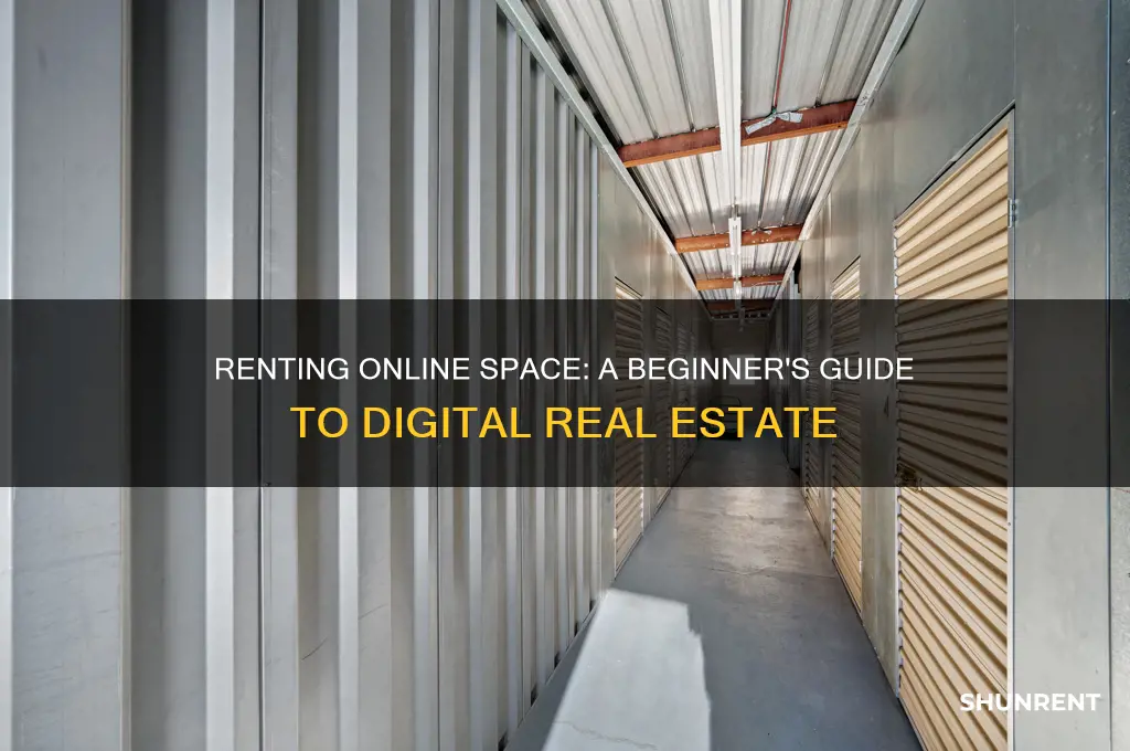 how to rent space on the internet