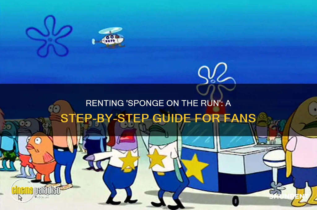 how to rent sponge on the run