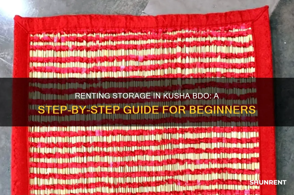 how to rent storage in kusha bdo