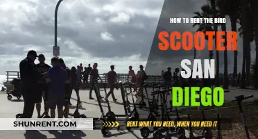 Renting Bird Scooters in San Diego: A Quick Guide