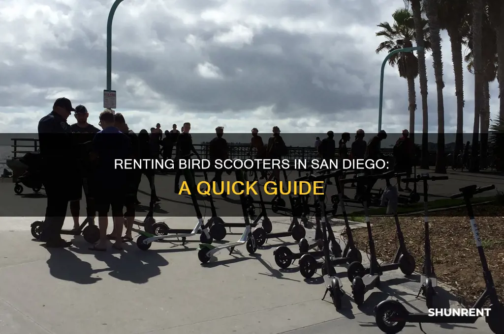 how to rent the bird scooter san diego