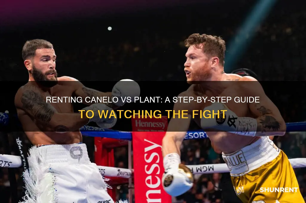 how to rent the canelo vs plant fight