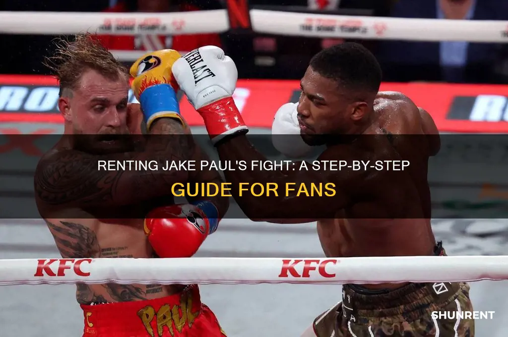 how to rent the jake paul fight