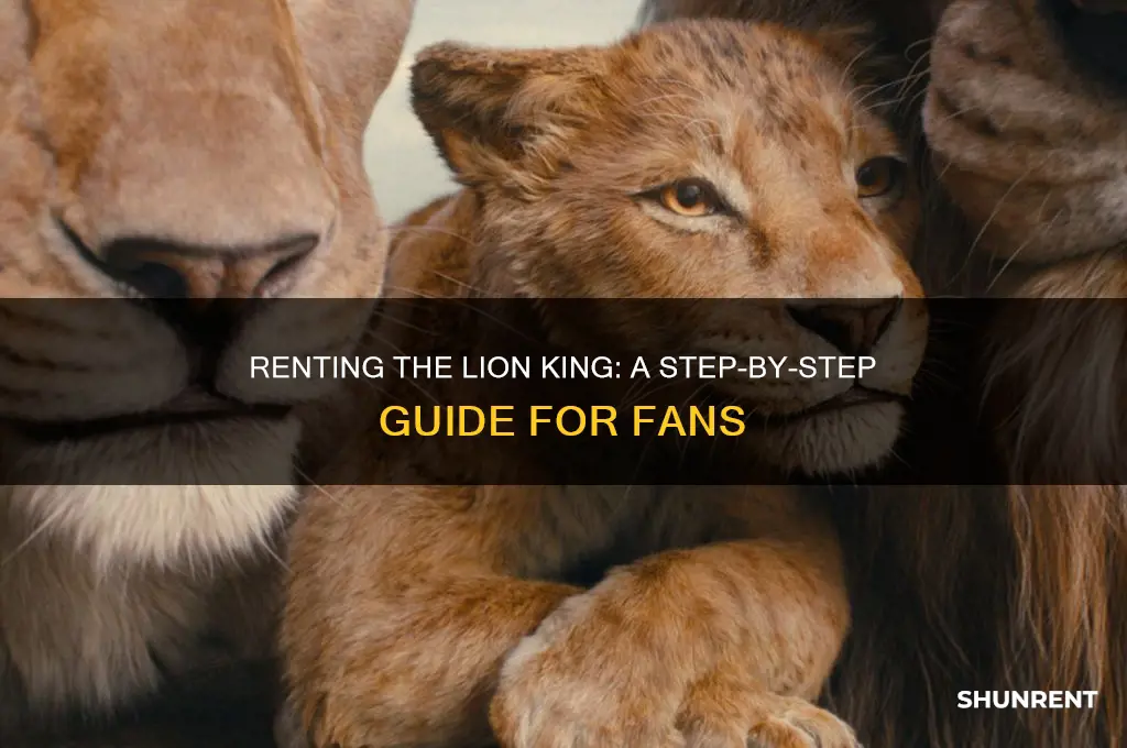 how to rent the lion king film