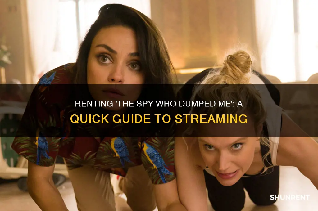 how to rent the spy who dumped me