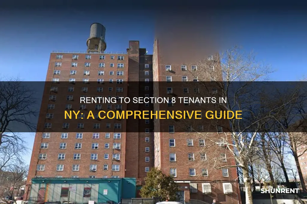 how to rent to section 8 in ny