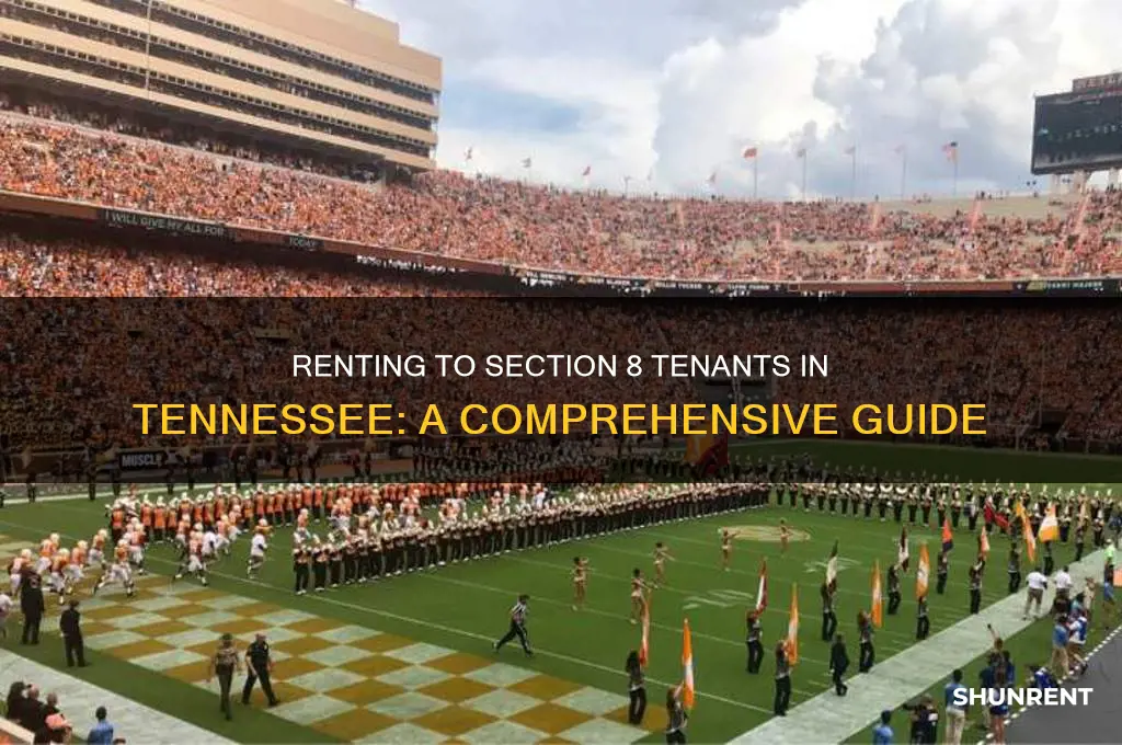 how to rent to section 8 in tennessee