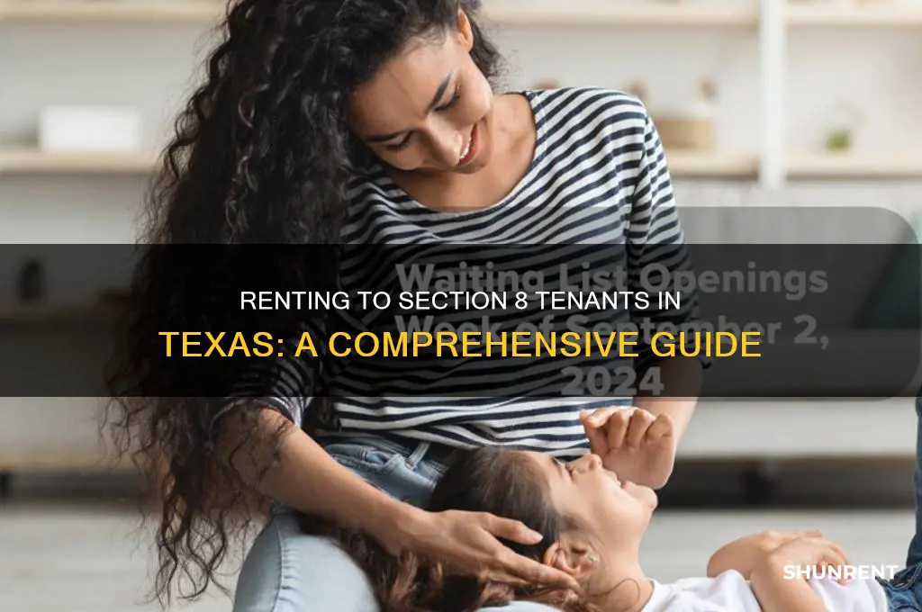 how to rent to section 8 in texas