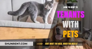 Pet-Friendly Rentals: Tips for Welcoming Tenants with Furry Friends