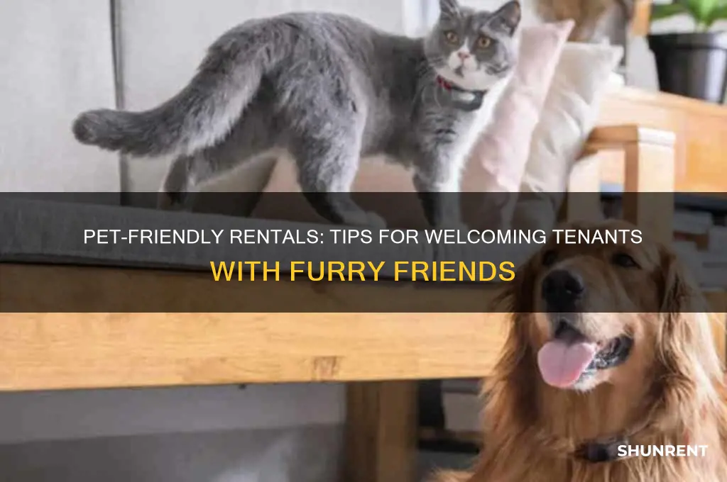 how to rent to tenants with pets