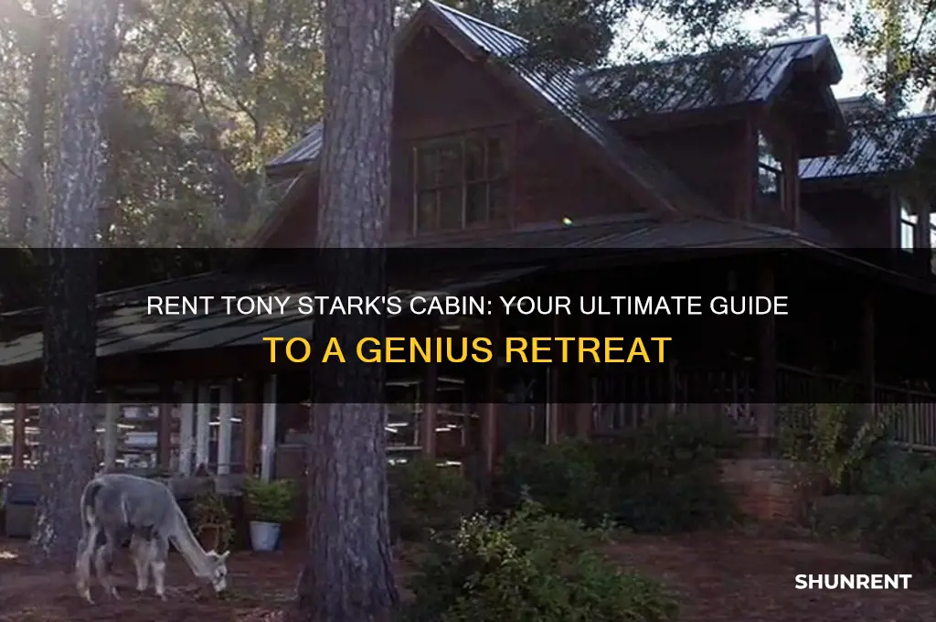 how to rent tony stark