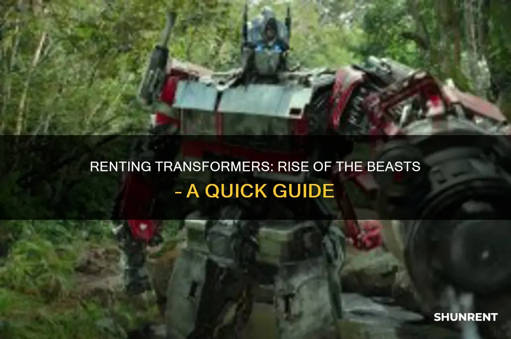 how to rent transformers rise of the beasts