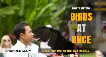 Mastering Multi-Tasking: Renting Two Birds at Once Efficiently