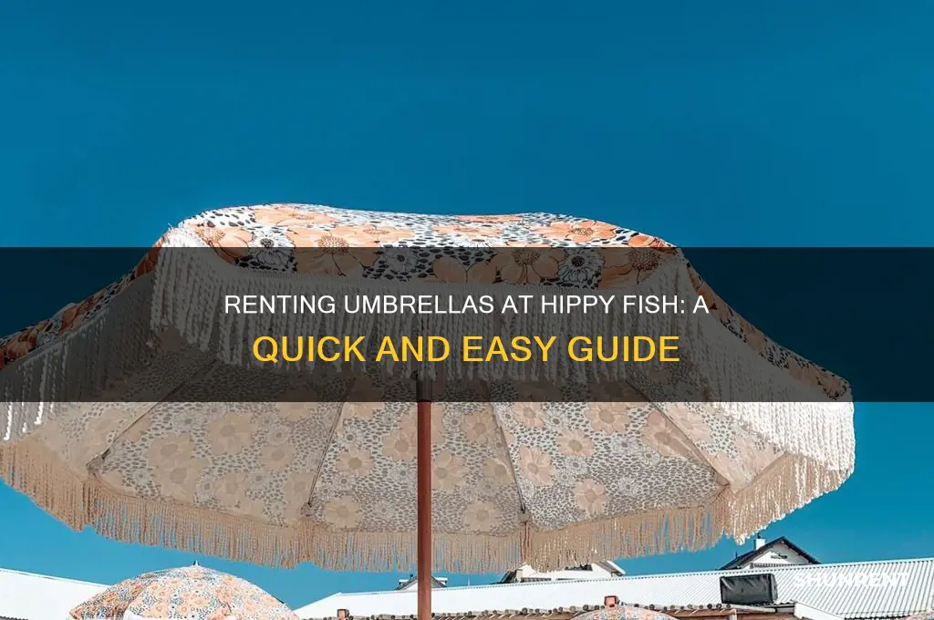 how to rent umbella at hippy fish