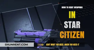 Renting Weapons in Star Citizen: A Comprehensive Guide for Players