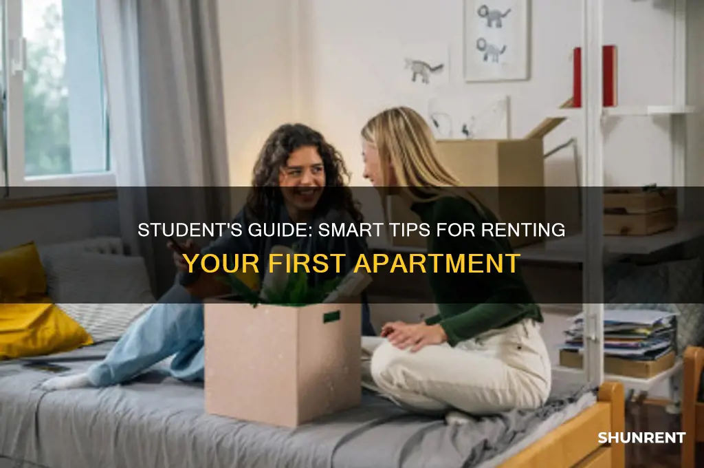 how to rent when you