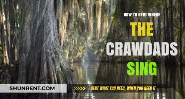 Renting the Perfect Spot to Experience 'Where the Crawdads Sing