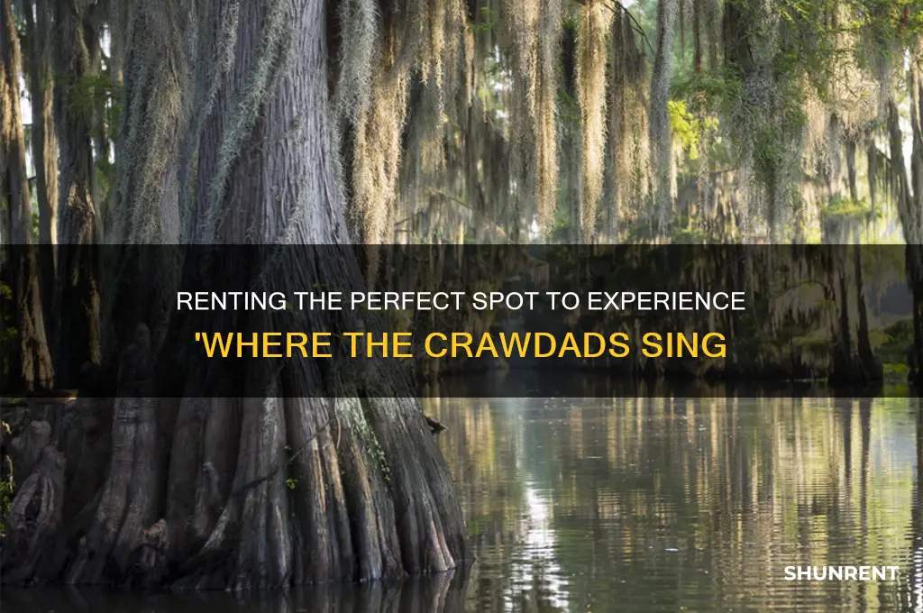 how to rent where the crawdads sing