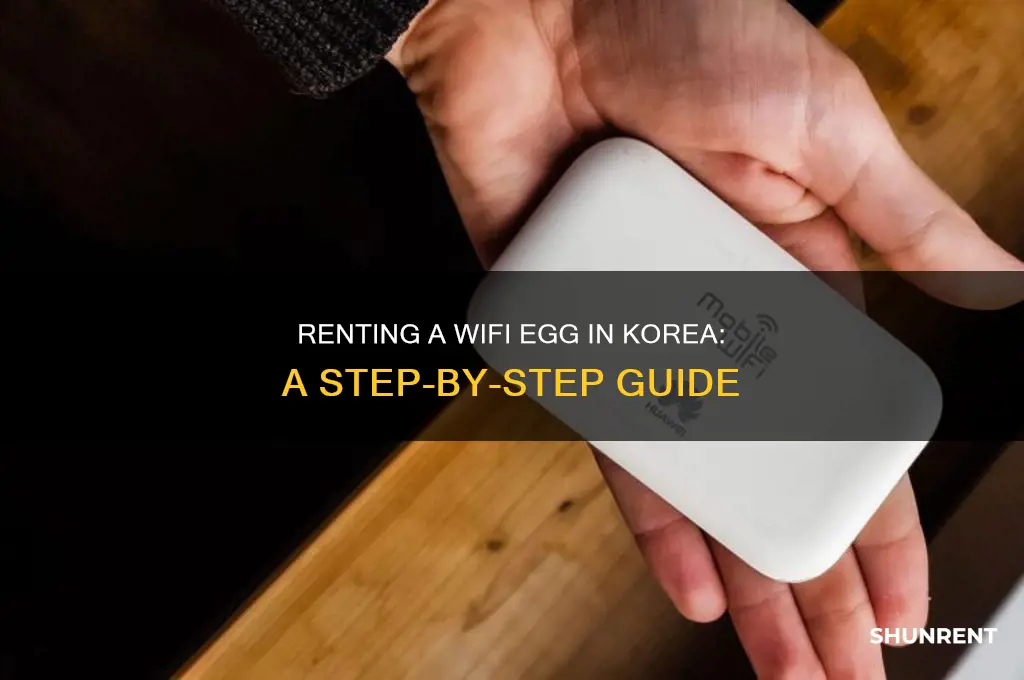how to rent wifi egg in korea