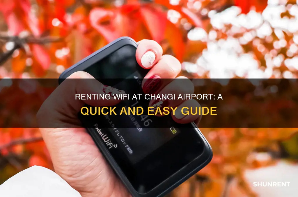 how to rent wifi from changi airport