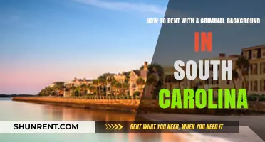 Renting in South Carolina: Navigating the Process with a Criminal Record