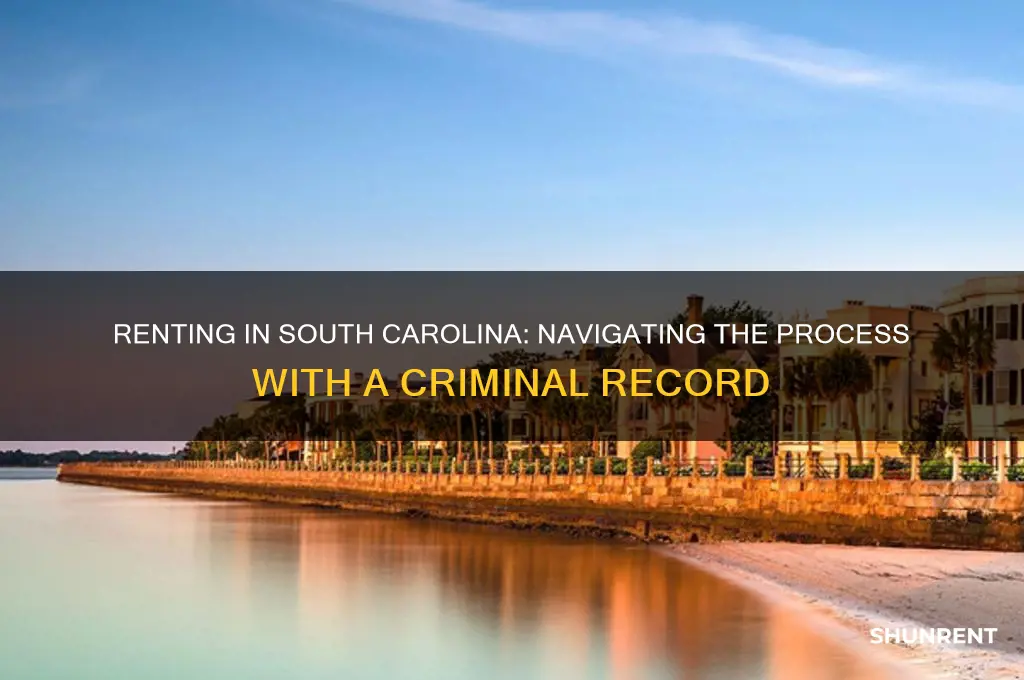 how to rent with a criminal background in south carolina