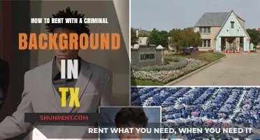 Renting in Texas: Navigating the Process with a Criminal Record