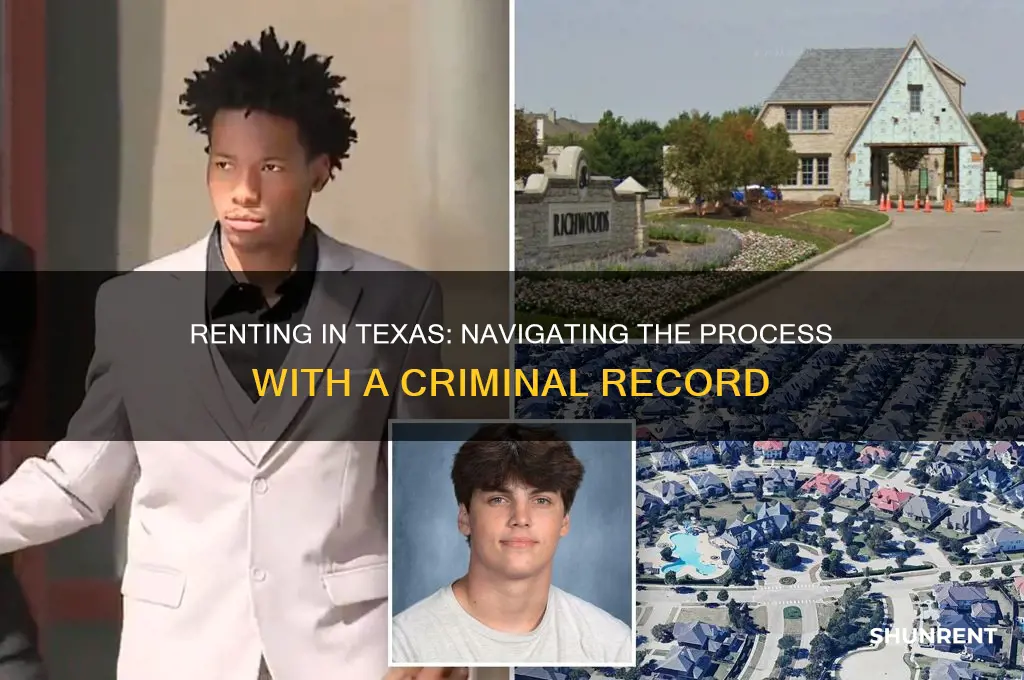 how to rent with a criminal background in tx