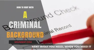 Renting with a Criminal Record: Strategies for Securing Your Next Home