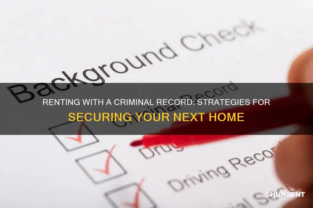 how to rent with a criminal background